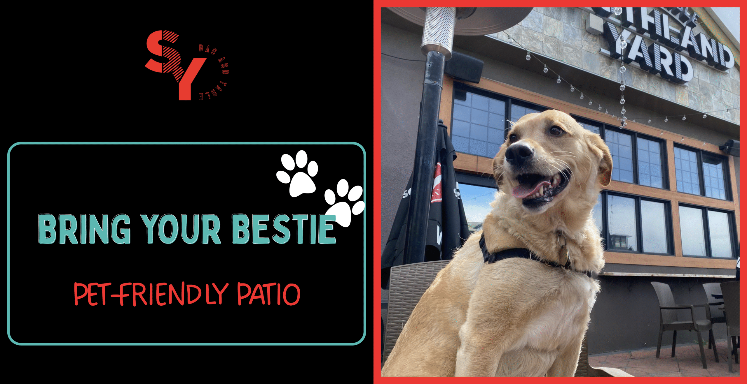 Bring your Bestie! Pet Friendly Patio